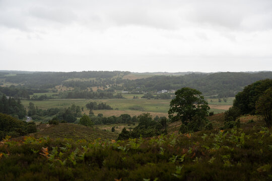 Green Countryside Landscape With Rolling Fields and Overcast Sky