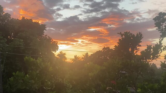 good morning font intro video sunrise in the forest