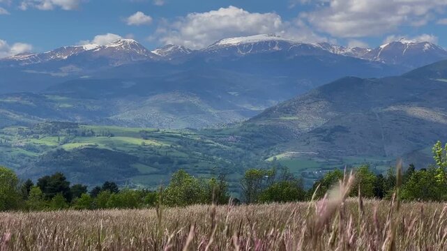 Scenic view of rolling hills, mountains, and a cloudy sky under sunlight. Mountain range with wildflowers. Landscape with Rolling Hills and Cloudy 