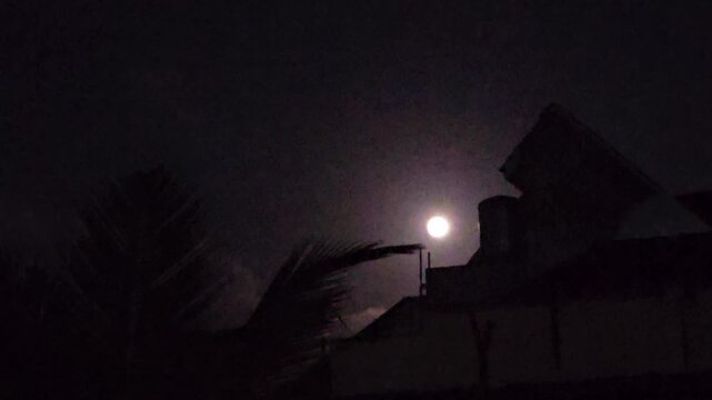 haunted house in the woods,Dark night, moon glows softly behind silhouetted palm fronds. Wind bends leaves, creates dynamic motion against quiet sky. House roof, chimney, and distant light frame 