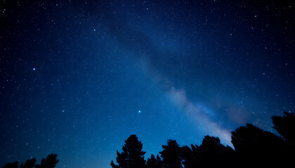 Fototapeta premium Starry Night Sky with Visible Milky Way Over Dark Forest Silhouettes