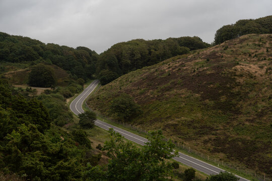 Winding Country Road Through Rolling Green Hills
