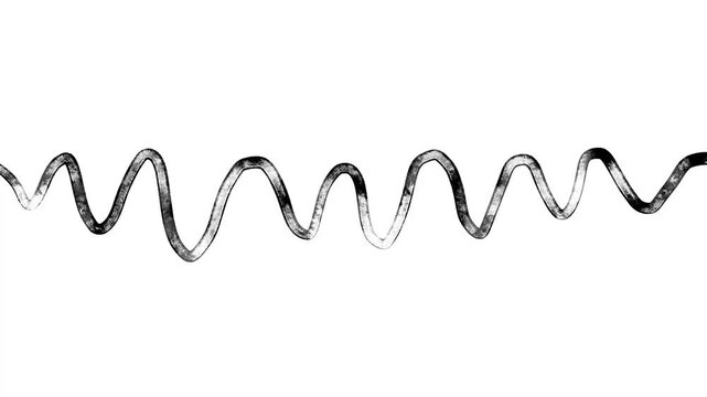 abstract black wave line on white background choppy animation video