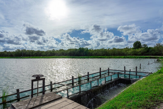 Functional water gate structure used for both water flow control and fish farming in freshwater reservoir. Concrete irrigation spillway and water drainage system for local aquaculture in canal.