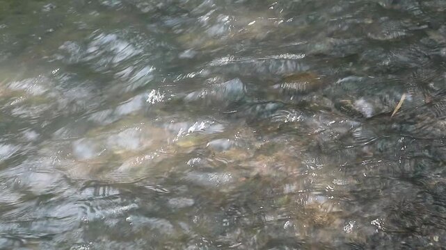 Details and texture of river water movement at moderate speed