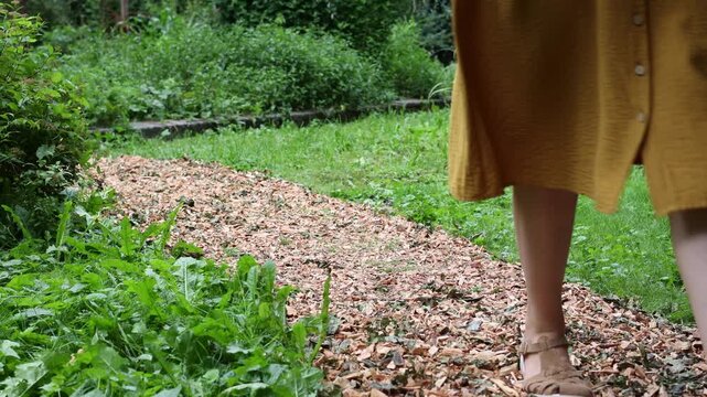 Woman walking along wood chip pathway in green garden. Natural eco-friendly landscaping and sustainable garden design