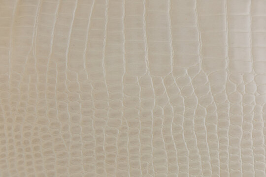 crocodile leather texture background of a light colored material resembling animal skin with a distinctive pattern