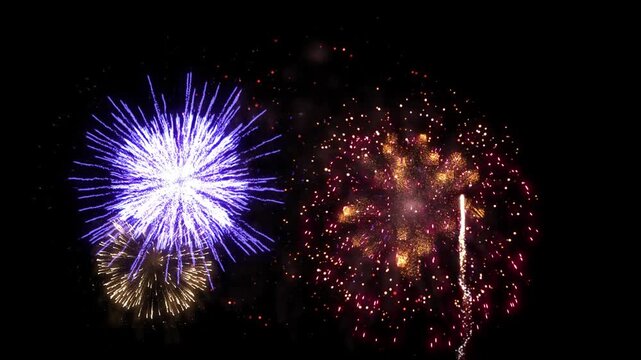 Multiple Purple and Multi-Color Fireworks Displays on Isolated Transparent Background. Perfect for Happy New Year, Merry Christmas, Independence Day, Veterans Day.