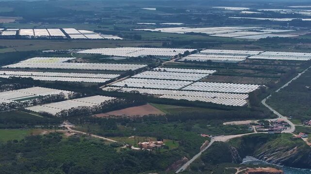 Aerial view of greenhouse complex showcasing extensive polytunnel farming in a commercial setting