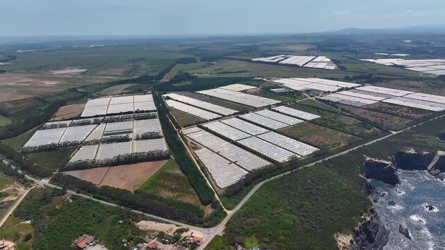 Aerial view of polytunnel farm and commercial greenhouses in protected agriculture setting