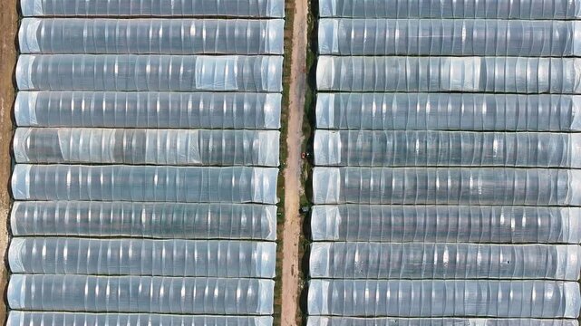 Aerial view of a greenhouse complex with polytunnels and plastic greenhouses in a farming area