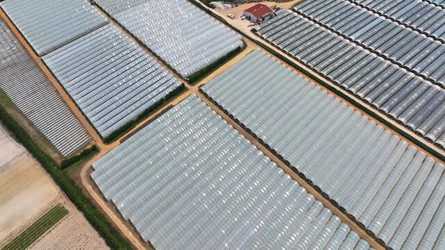 Aerial view of a greenhouse complex featuring plastic greenhouses and polytunnel farms for commercial horticulture