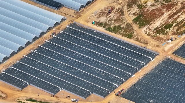 Commercial greenhouse complex with multiple polytunnels and plastic greenhouses in protected agriculture