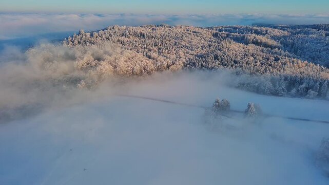 Aerial View of Snowy Forest and Fields as Morning Fog Lifts