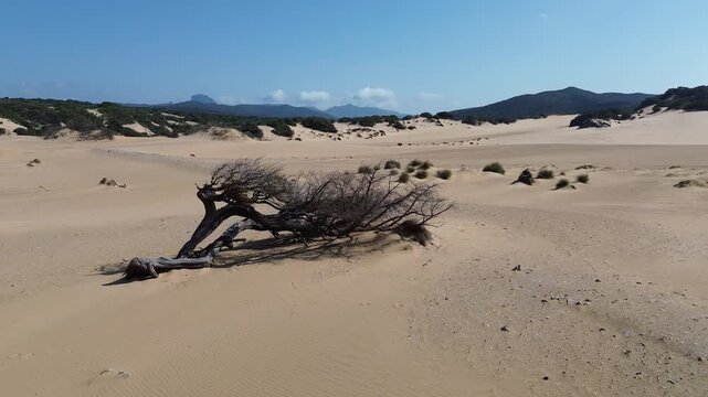 Wild Sand Dunes of Piscinas Along the Mediterranean Coast of Sardinia