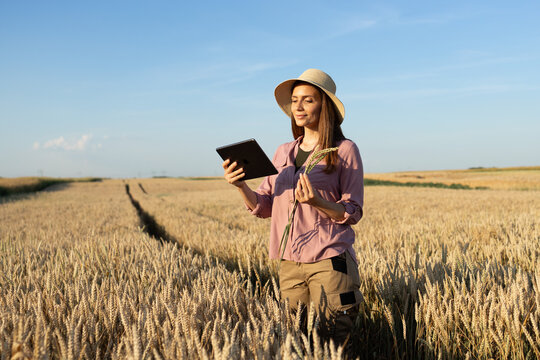 Farmer woman in straw hat uses tablet in golden wheat field at sunset