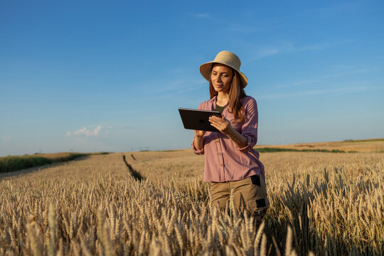Female agribusiness owner using digital tablet for smart farming on wheat farm