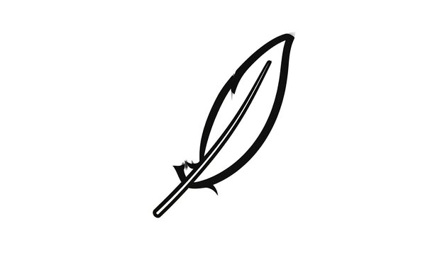 Black and white feather quill pen isolated.