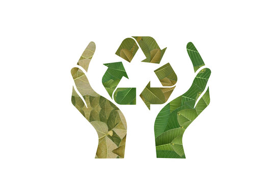 Green eco hands holding recycle symbol care icon white background