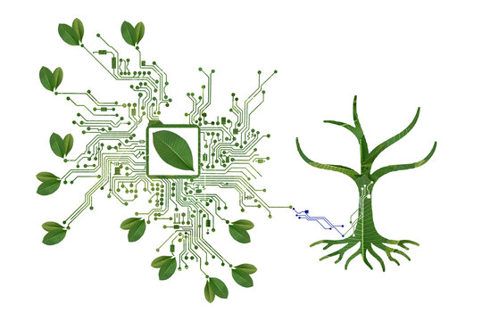 Eco green circuit board leaf microchip tree technology icon background