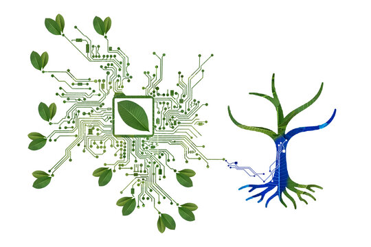 Green eco circuit microchip tree digital connection icon white background