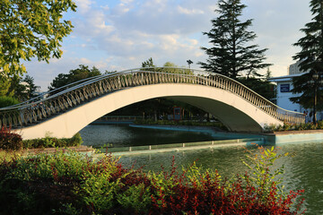 Fototapeta premium Elegant arched pedestrian bridge over water surrounded by greenery in city park