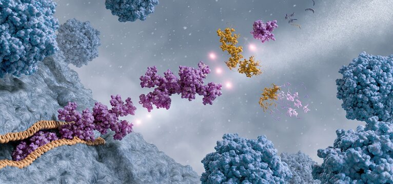 Inside a textured cell, molecular flow reveals enzyme activity, protein complexes, and receptor interactions in a biochemical pathway.