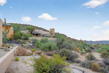 Fototapeta premium Desert hillside residence with cacti and clear blue sky