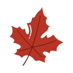 Fototapeta premium Maple Leaf Illustration