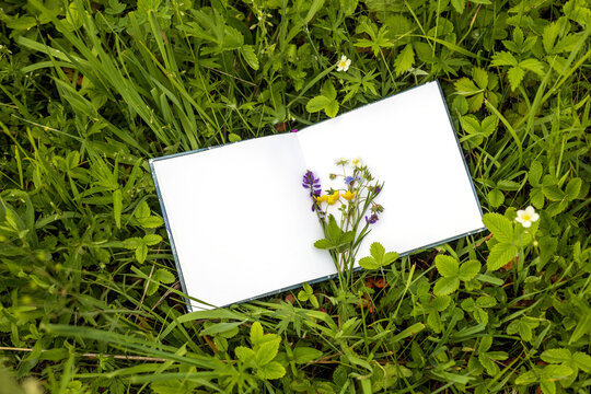An open sketchbook on green summer grass with a bouquet of wildflowers. Creative drawings in nature. 
