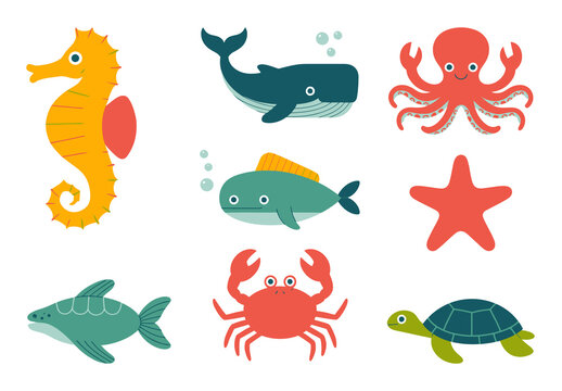 Cute Sea Animal Vector Illustration Set