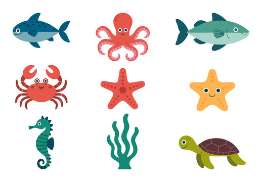 Cute Underwater Animal Illustration Set