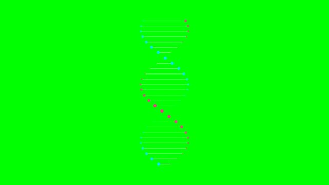 Minimalist rotating dna helix structure isolated on a solid green background