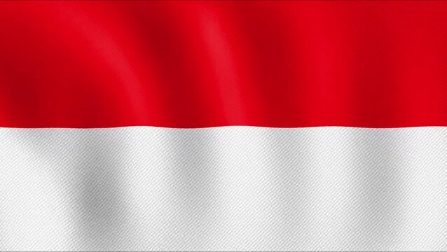 Realistic waving flag of Indonesia with fabric texture for video background