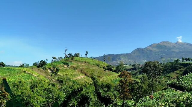 Mount Merbabu in central java view. cool mountain landscape scenery with windy trees. mountain nature background