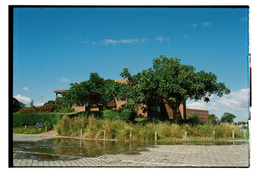 A building surrounded by trees