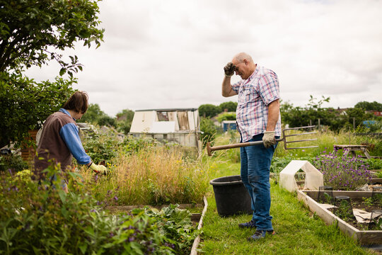 Rest and routine in the urban garden