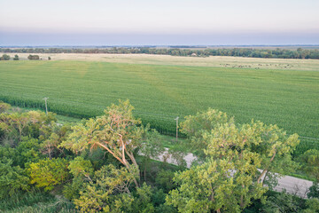 Obraz premium Rural landscape of Nebraska along the Platte River below Kearney, summer scenery
