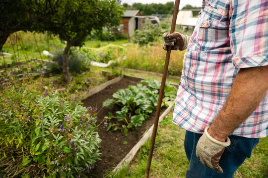 Weathered hands on a spade in a thriving allotment garden