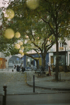 Paris Street Through Window