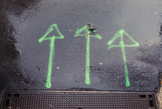 Green Arrows On Pavement