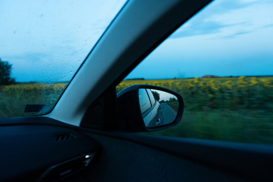 Driving Past Sunflower Fields at Blue Hour