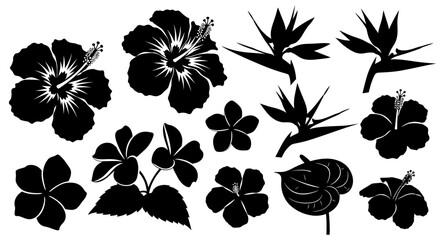 Obraz premium Collection of black silhouette tropical flowers with leaves white background bird paradise illustration hibiscus plumeria monstera elements with graphic