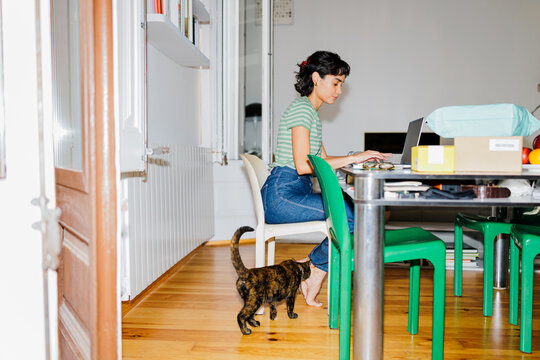 Woman working with laptop at home office with pet ugc