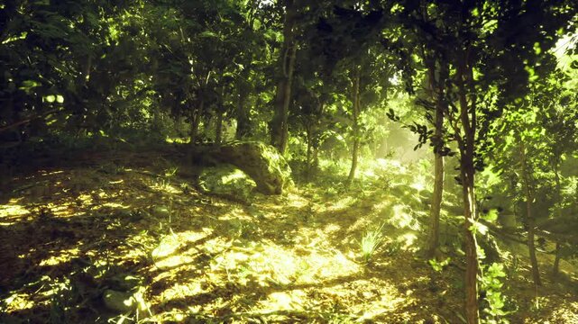 Dappled light on Finnish forest floor, leaf litter and fern shadows punctuated by warm beams, cool shaded pockets and rich green moss creating textured, moody