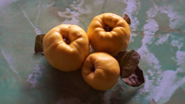 Side angle view of three ripe yellow quinces with dry autumn leaves on a green marbled surface, slow motion horizontal video.