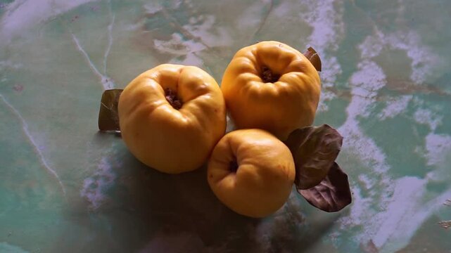Top view of three ripe yellow quinces with dry leaves on a green textured marbled surface, slow motion horizontal video.