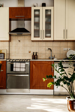 Old style kitchen interior