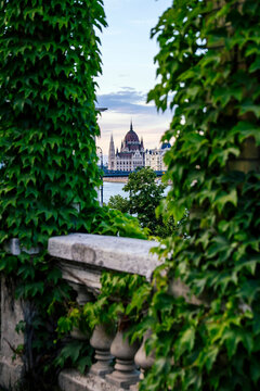 Hungarian parliament building with green leaves