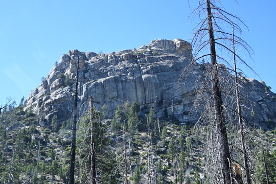 Jackass Rock
